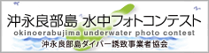 沖永良部島水中フォトコンテスト