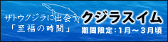 ザトウクジラと夢の遭遇　クジラスイム