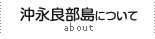 沖永良部島について