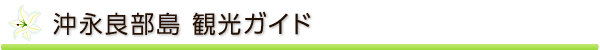 沖永良部島 観光ガイド