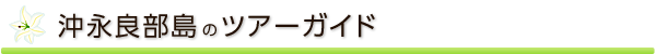 沖永良部島観光ツアーガイド