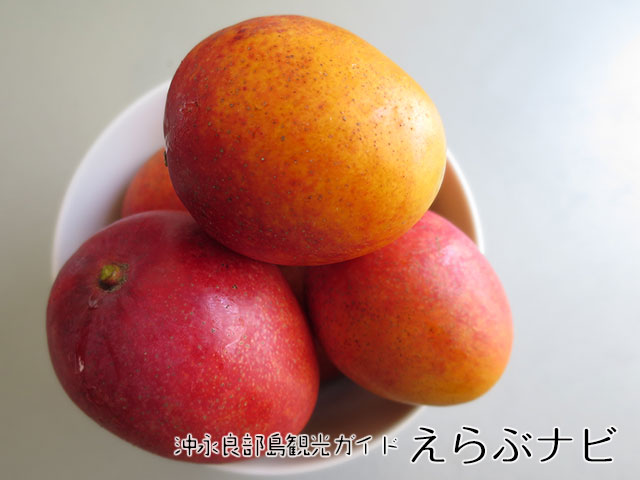 マンゴー
