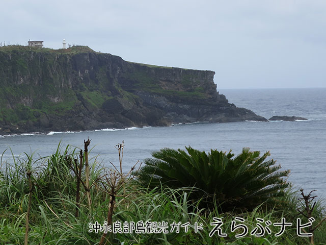 田皆岬