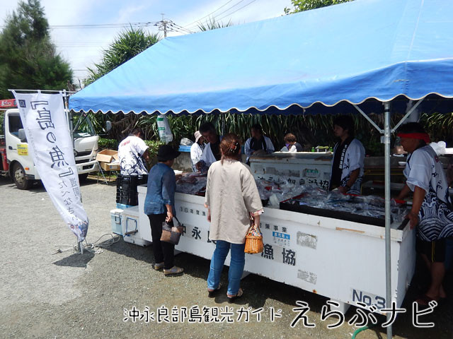 知名町収穫祭　島の魚