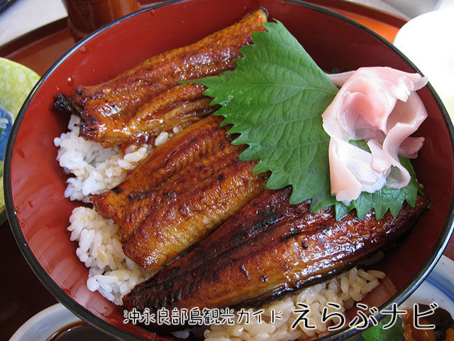 おきえらぶフローラルホテル　うな丼